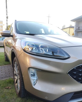 Ford Kuga cena 116900 przebieg: 33000, rok produkcji 2020 z Kobyłka małe 106